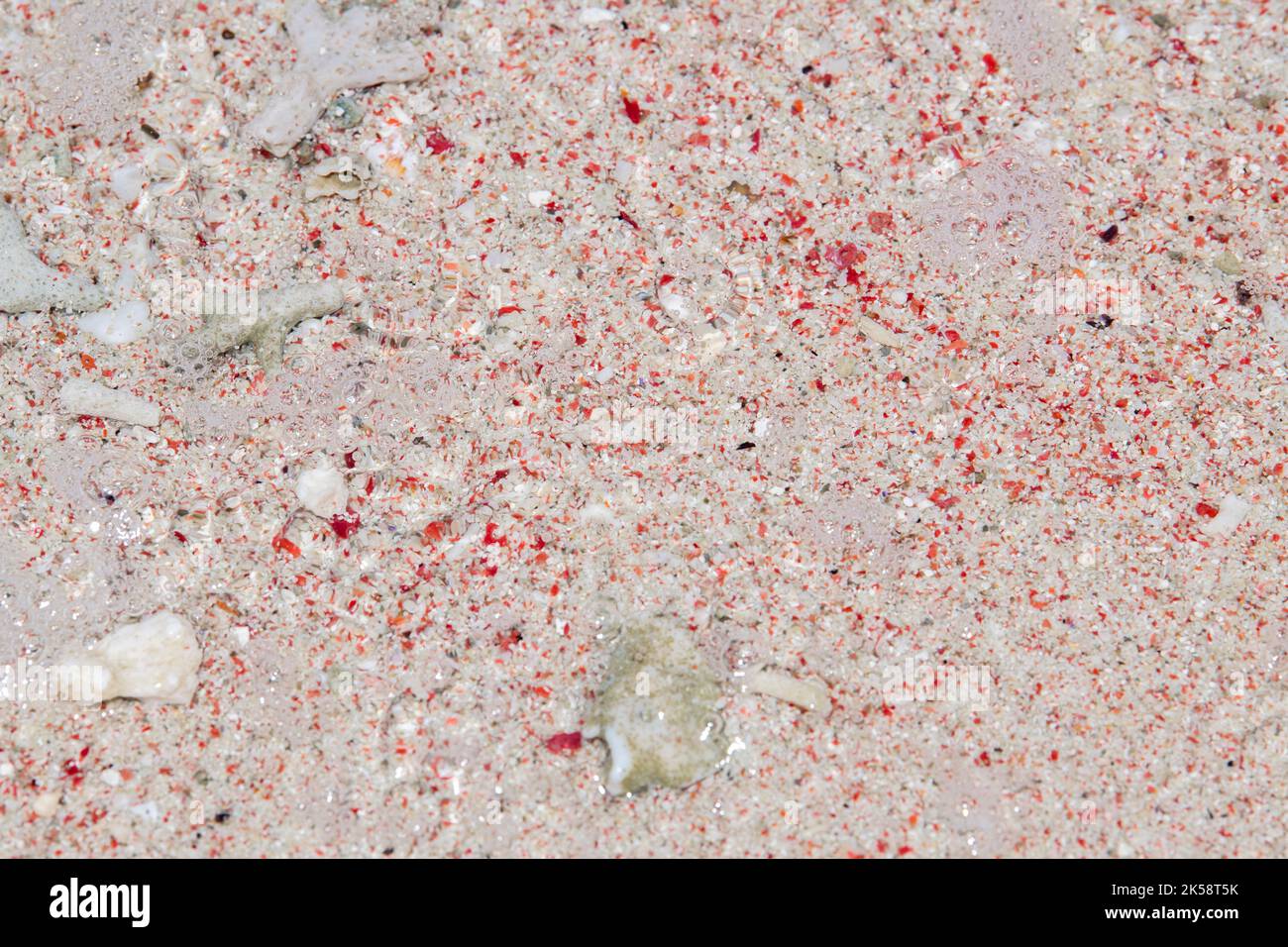 Indonesia, Komodo Island, Komodo National Park, Pink Beach. The beach gets its color from foraminifera (microscopic red organisms) Beach detail. Stock Photo