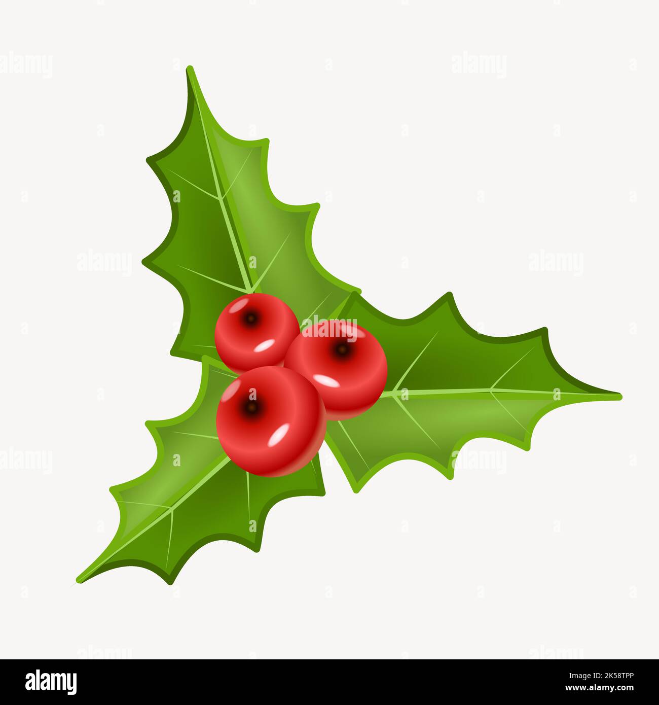 Christmas holly berry clipart, illustration vector Stock Vector Image ...