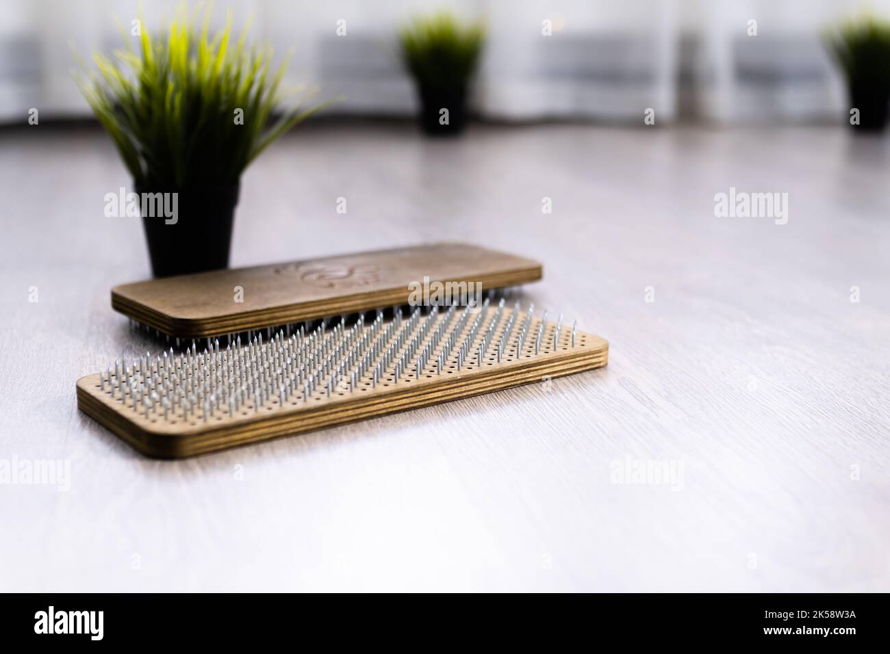 wooden sadhu board with sharp nails. Green plant in white pot near. Concept alternative medicine Stock Photo