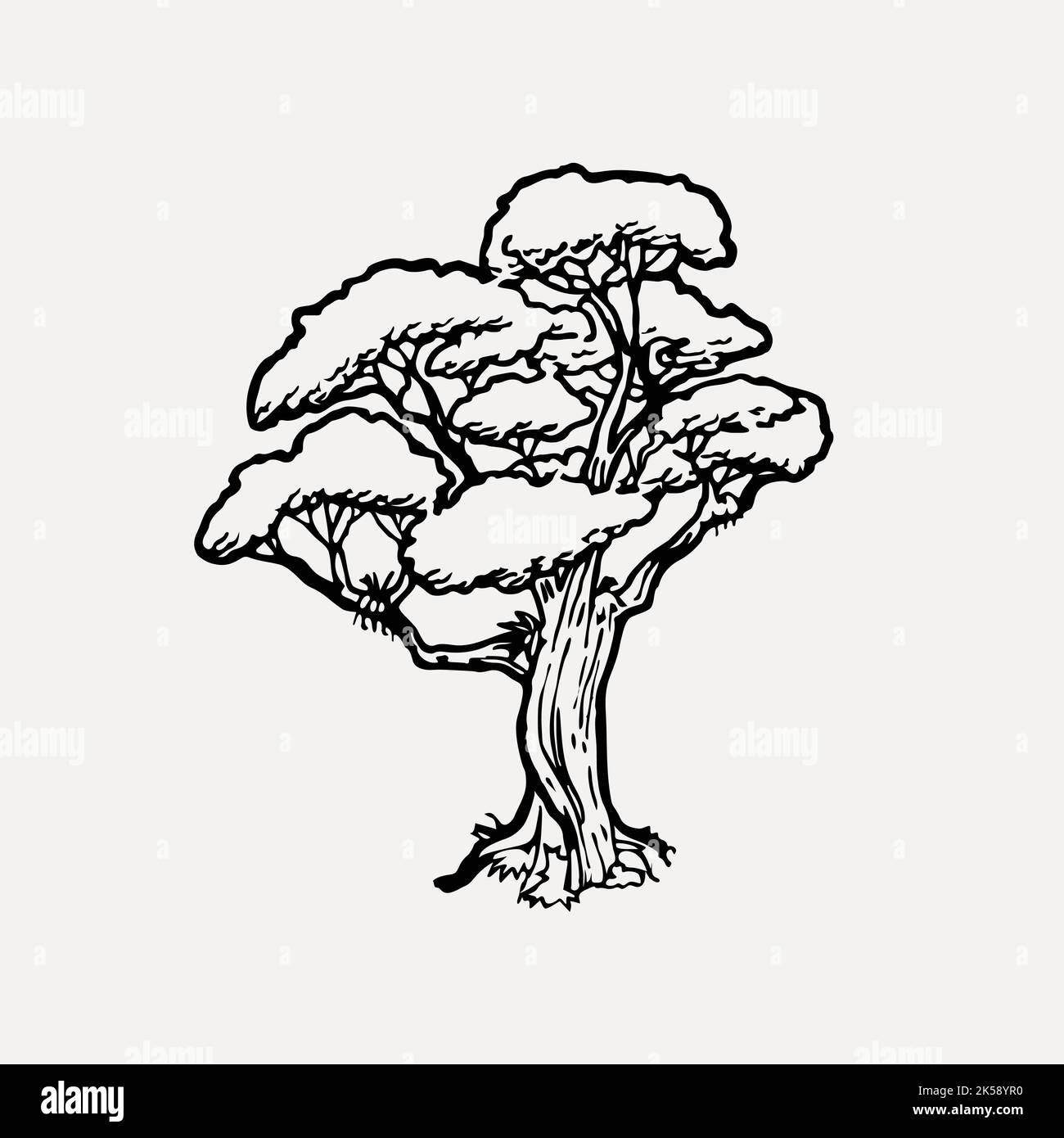 Rata Vector Hi res Stock Photography And Images Alamy rata-vector-hi-res-stock-photography-and-images-alamy