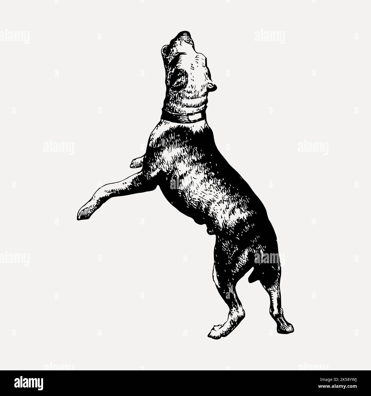 Barking dog clipart, vintage animal illustration vector Stock Vector
