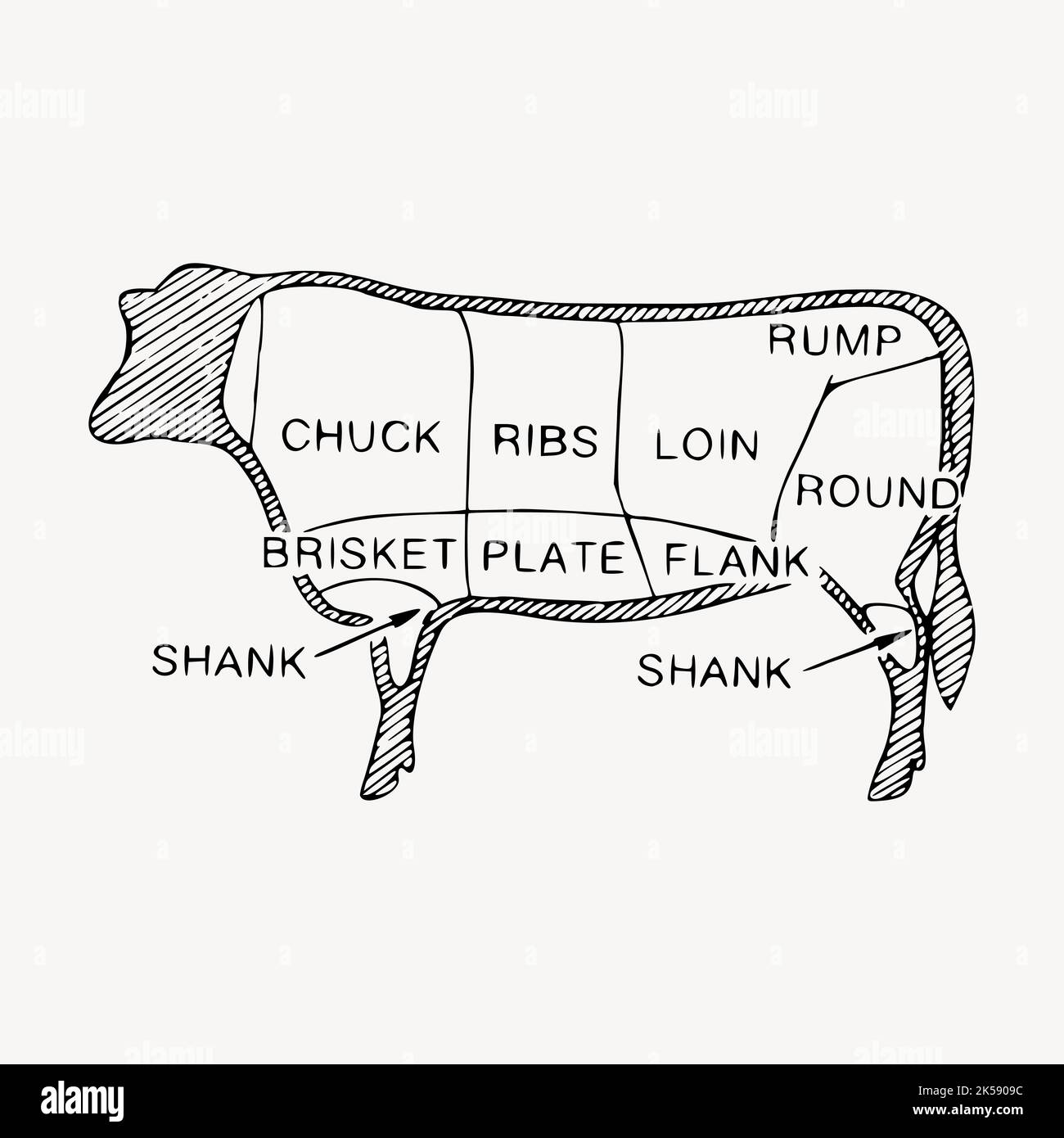 Beef cuts clipart, diagram illustration vector. Stock Vector