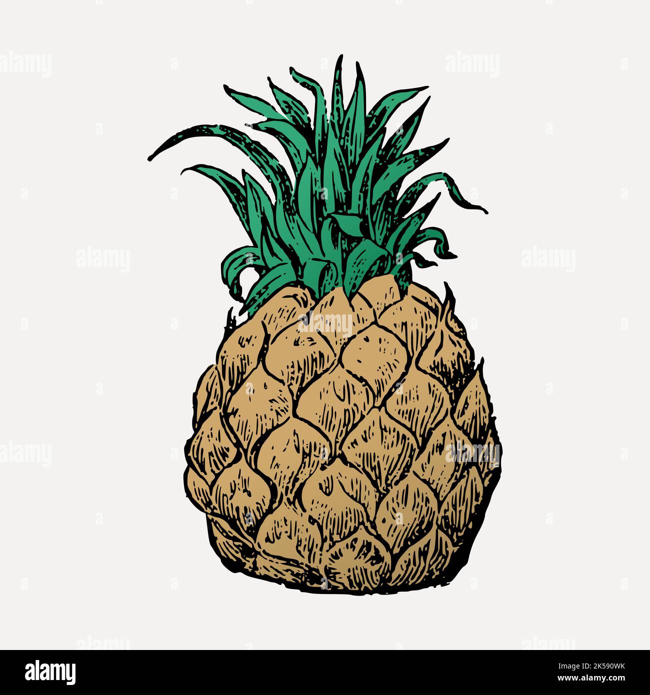 Pineapple clipart, vintage fruit illustration vector Stock Vector Image ...