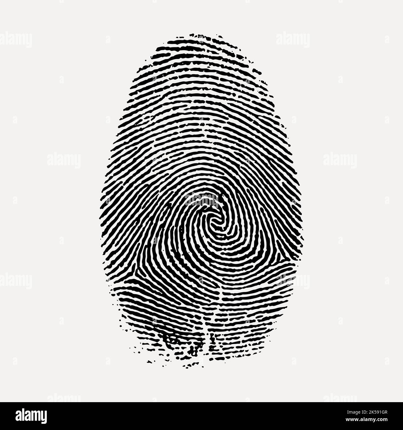 Fingerprint clipart vintage whorl illustration vector stock vector