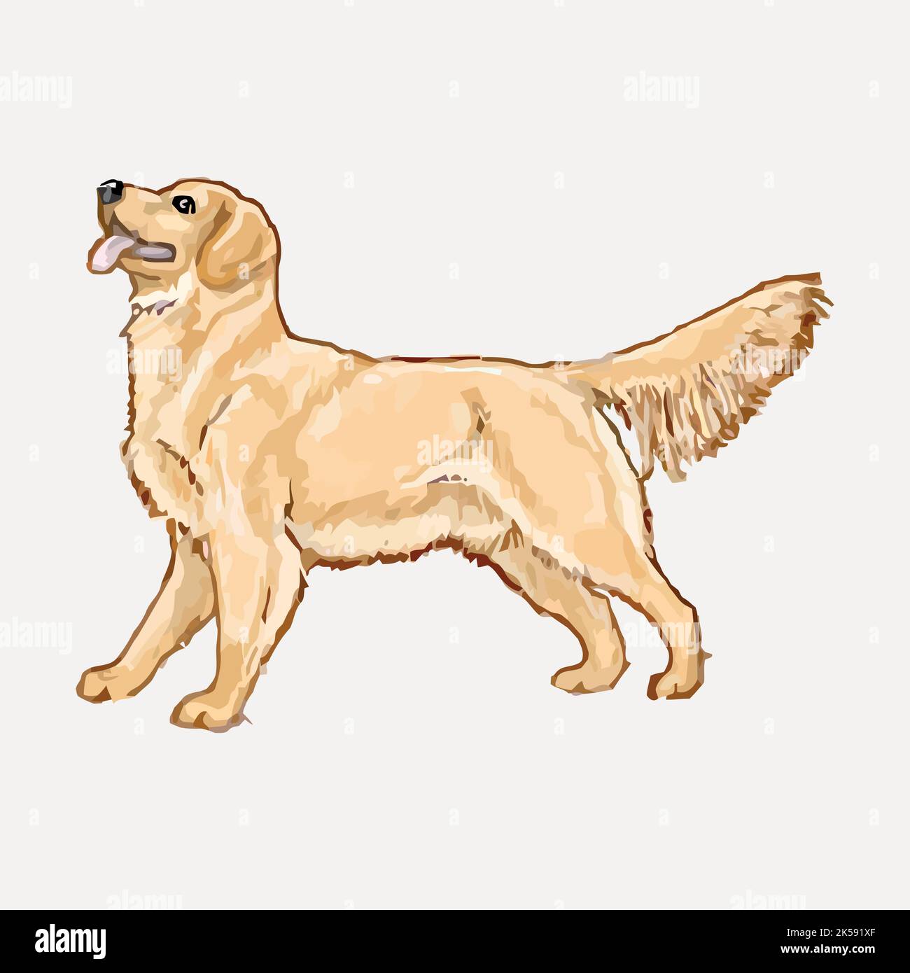Golden Retriever dog clipart, animal illustration vector Stock Vector