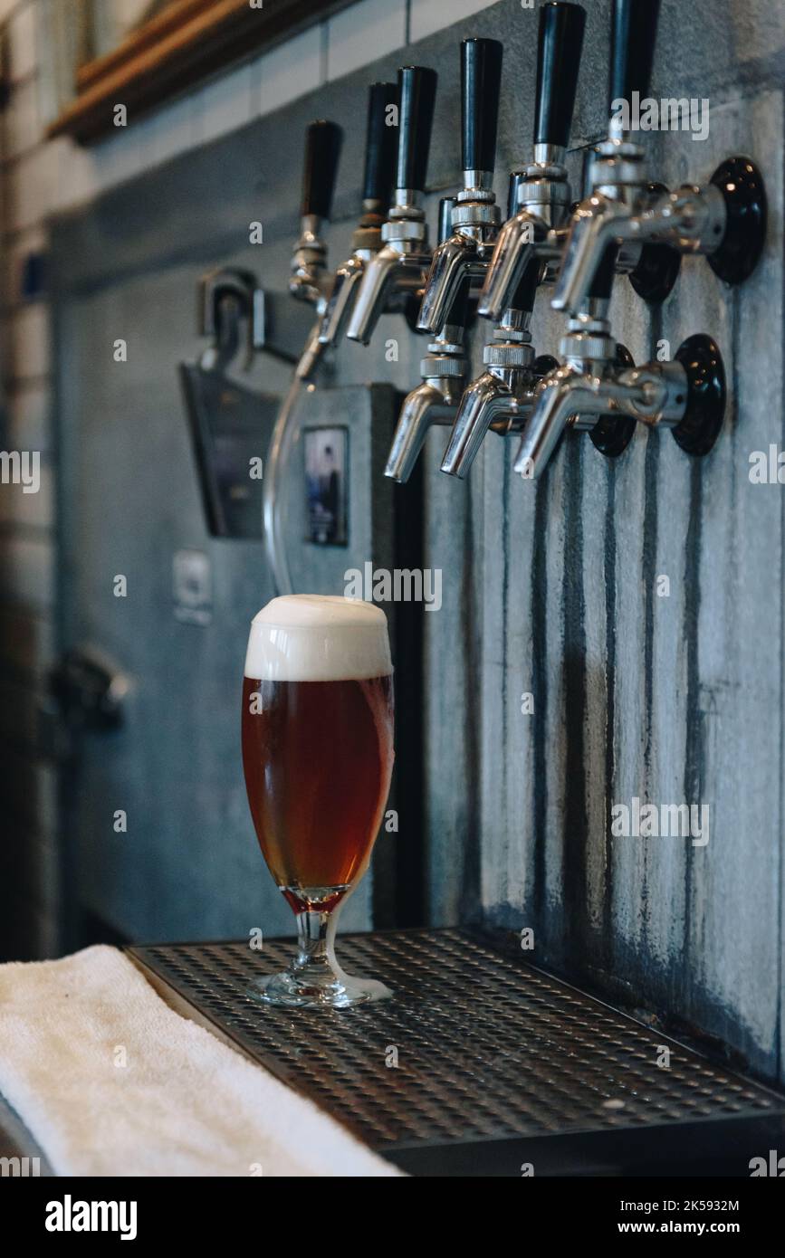 Beer Underneath Taps Poured at Local Brewery Stock Photo