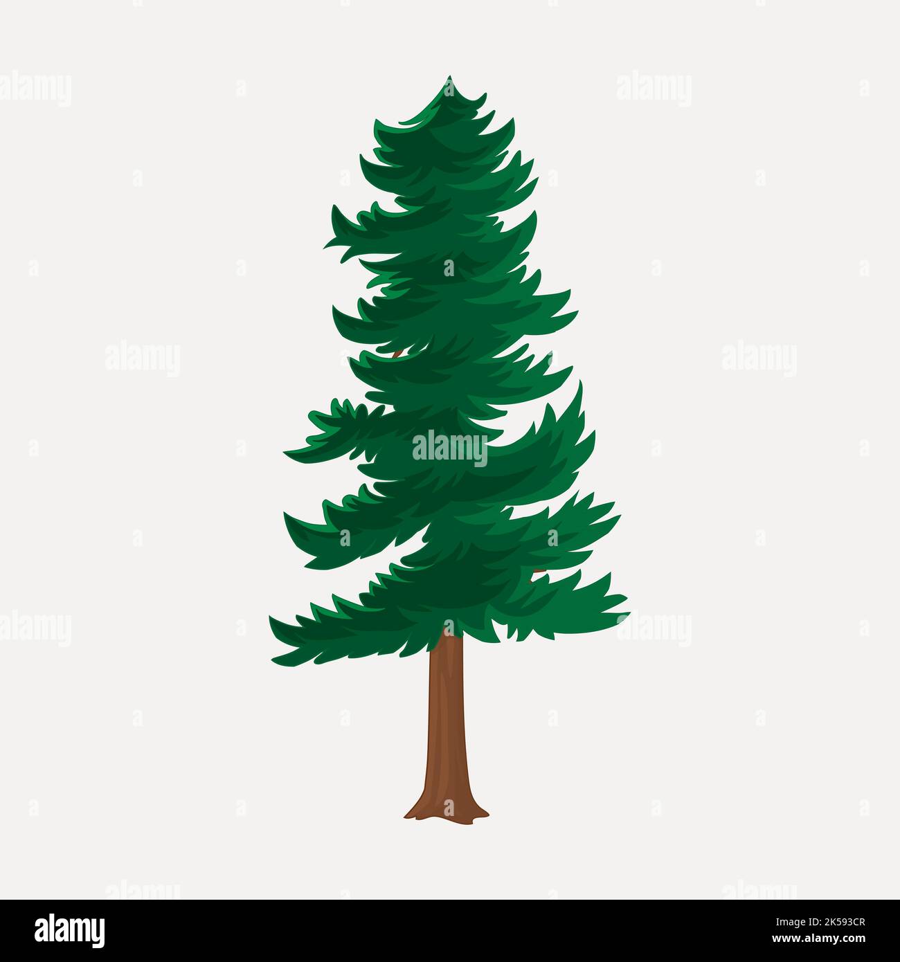 Pine tree clipart, botanical illustration vector Stock Vector Image ...