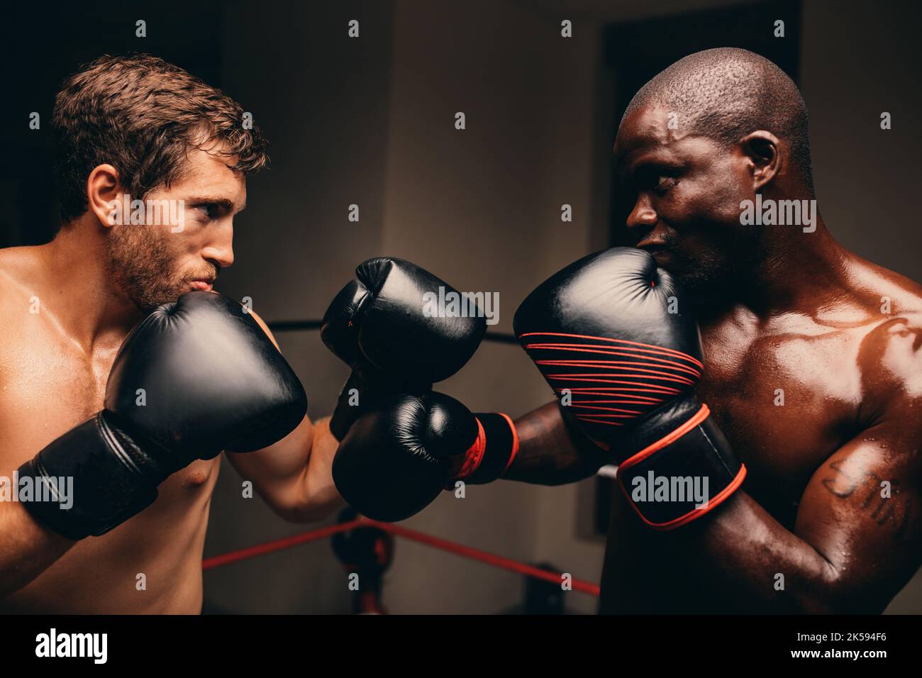 Boxers facing off in ring hires stock photography and images Alamy