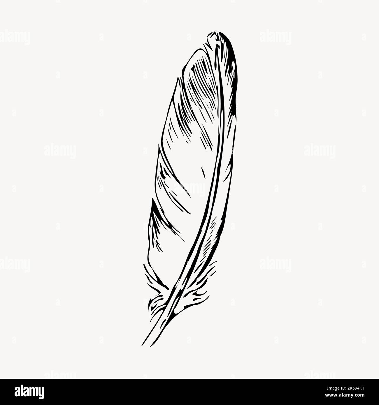 Feather Outline Images  Browse 106419 Stock Photos Vectors and Video   Adobe Stock
