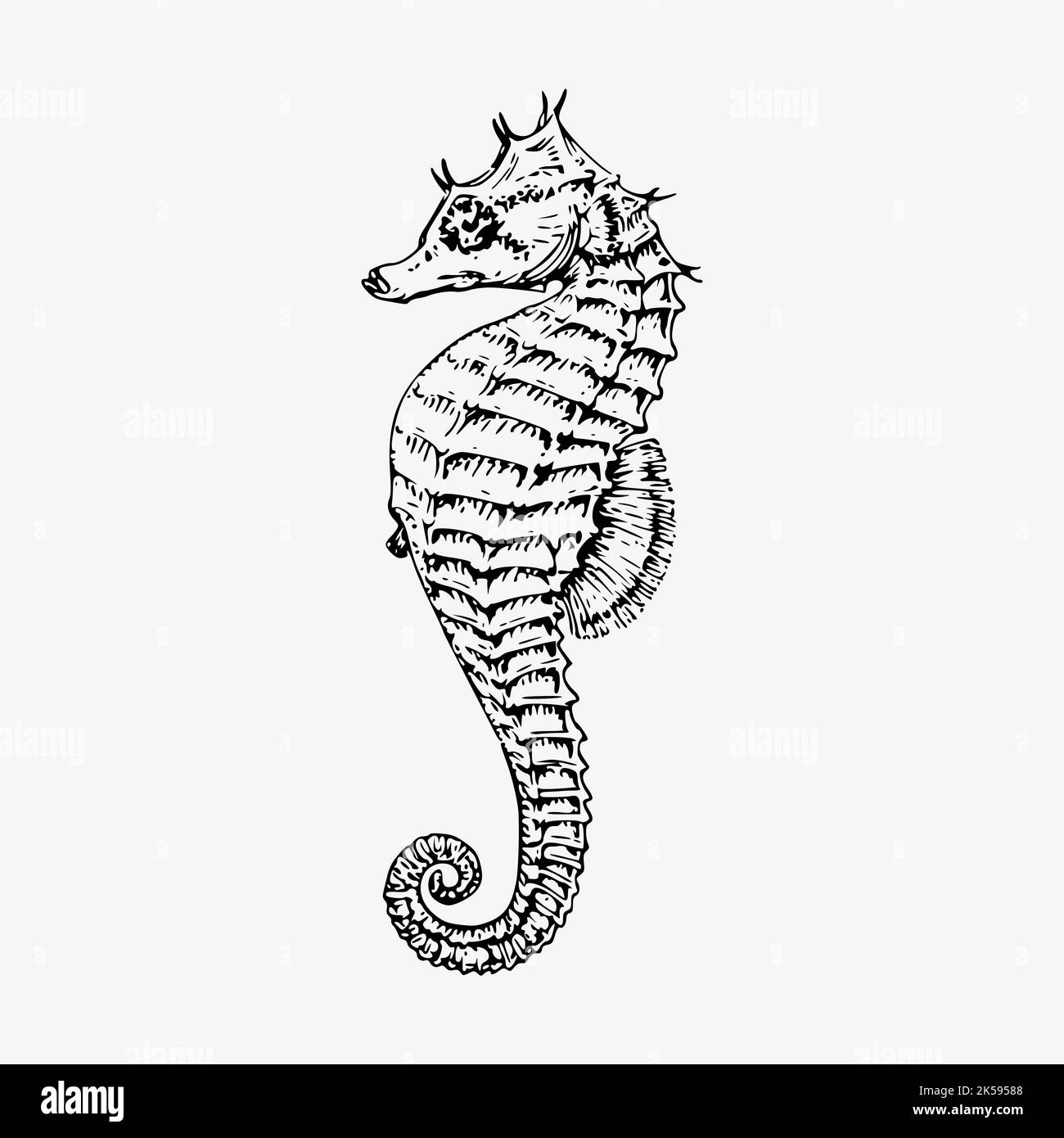 Seahorse clipart, sea animal vintage illustration vector Stock Vector ...