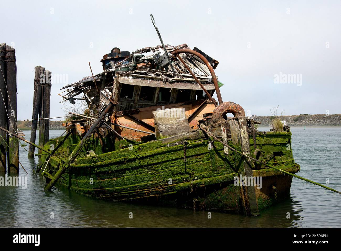 Mary Tee - Mud main image 1