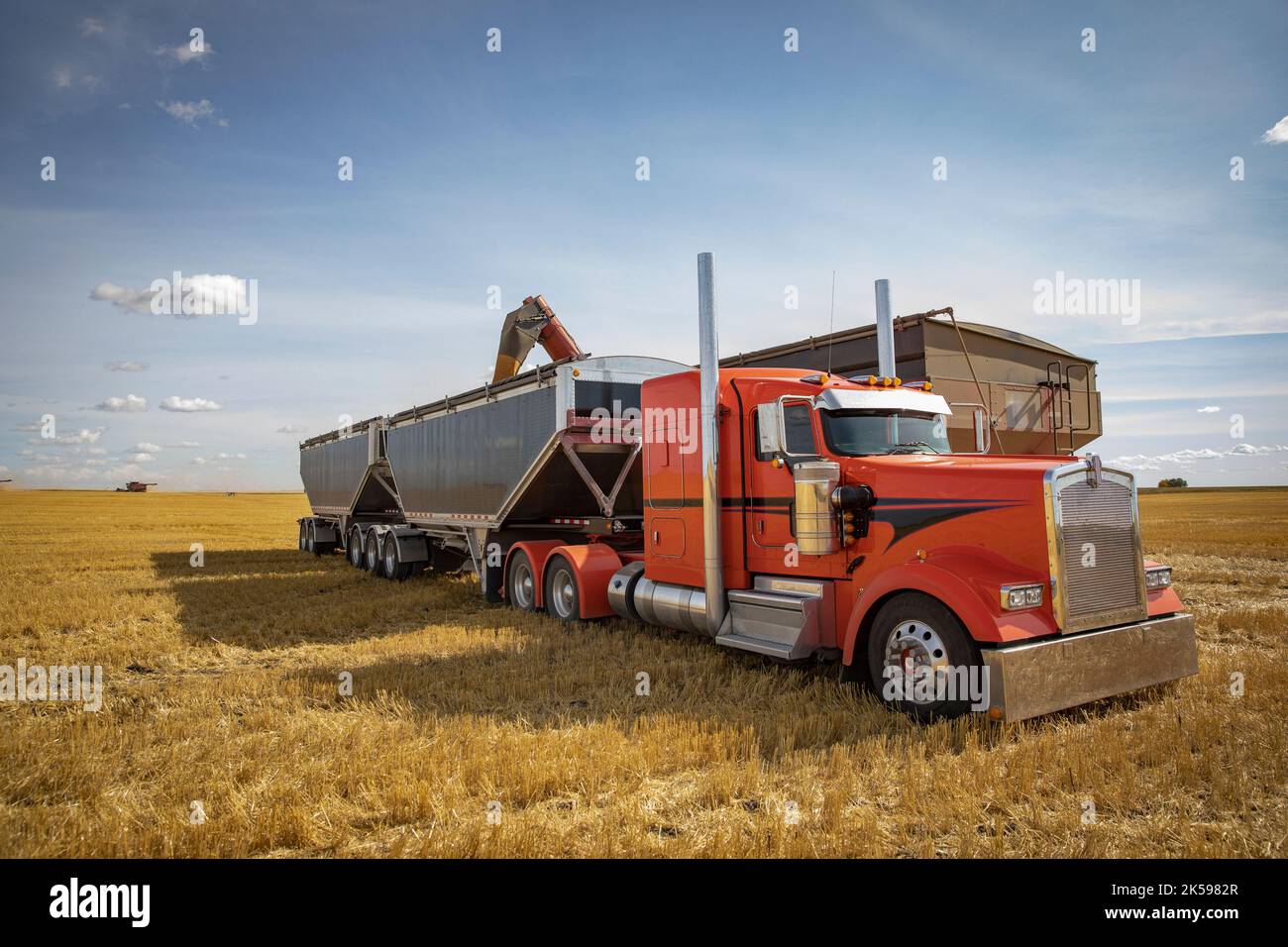 Grain auger filling semi trailer on sunny farm Stock Photo - Alamy