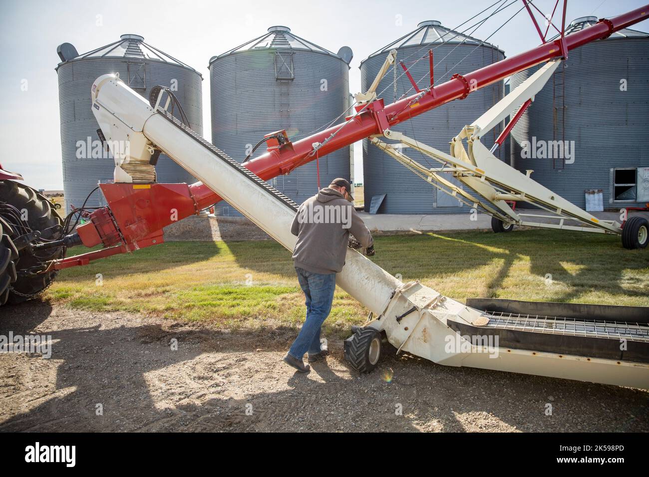 Male farmer operating grain auger on sunny farm Stock Photo Alamy