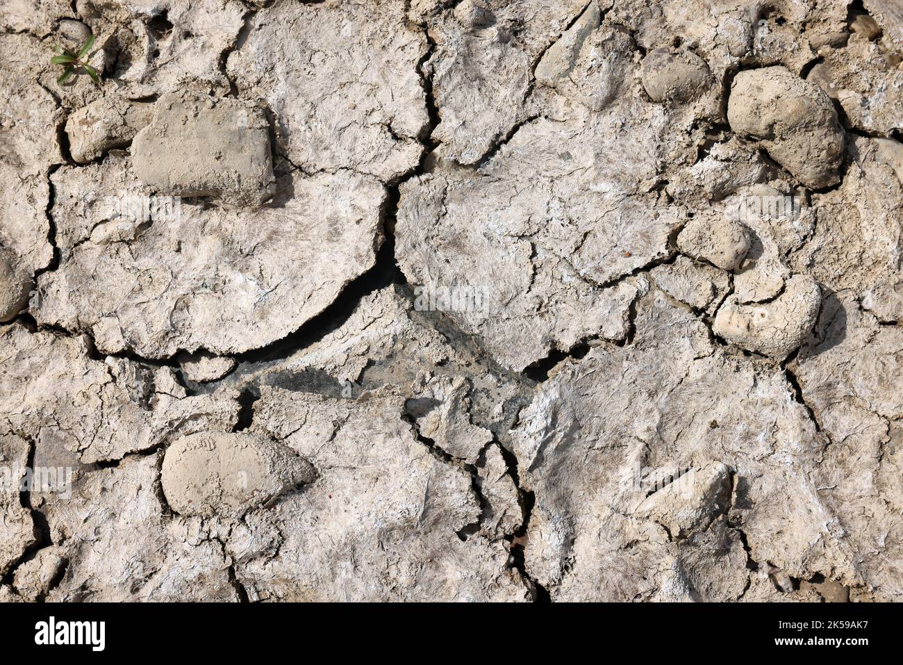 27.07.2022, Germany, North Rhine-Westphalia, Düsseldorf - Dry riverbed in the Rhine. After a long drought, the Rhine level dropped to 71 cm today. Inl Stock Photo