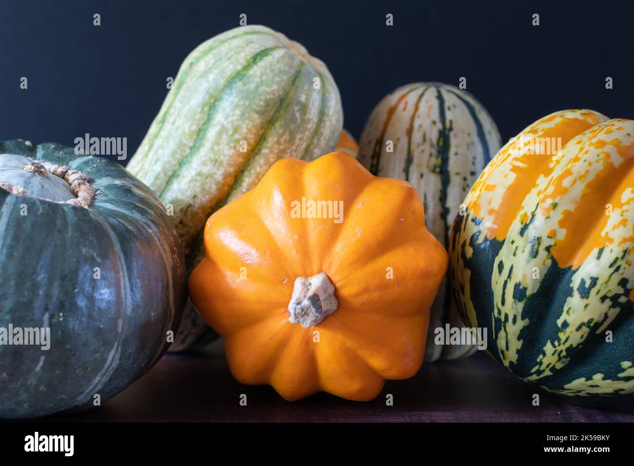 Golden acorn squash, Carnival squash, Delicata squash, and Kabocha squash in the colors of autumn. Stock Photo