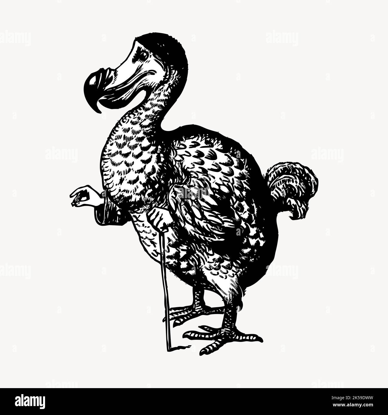 Dodo bird clipart, vintage animal illustration vector Stock Vector ...