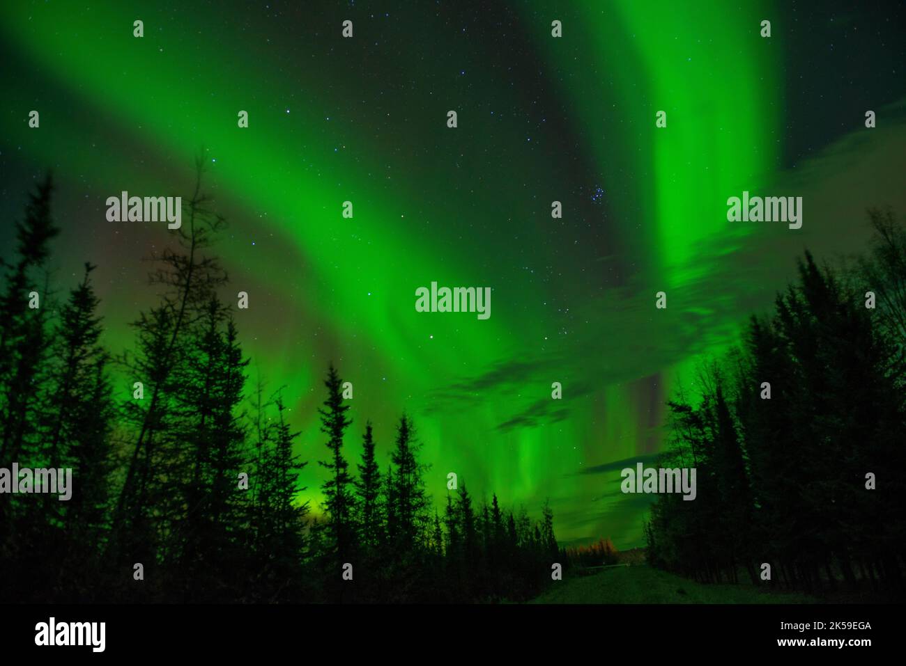 Northern lights alaska north pole hi-res stock photography and images -  Alamy