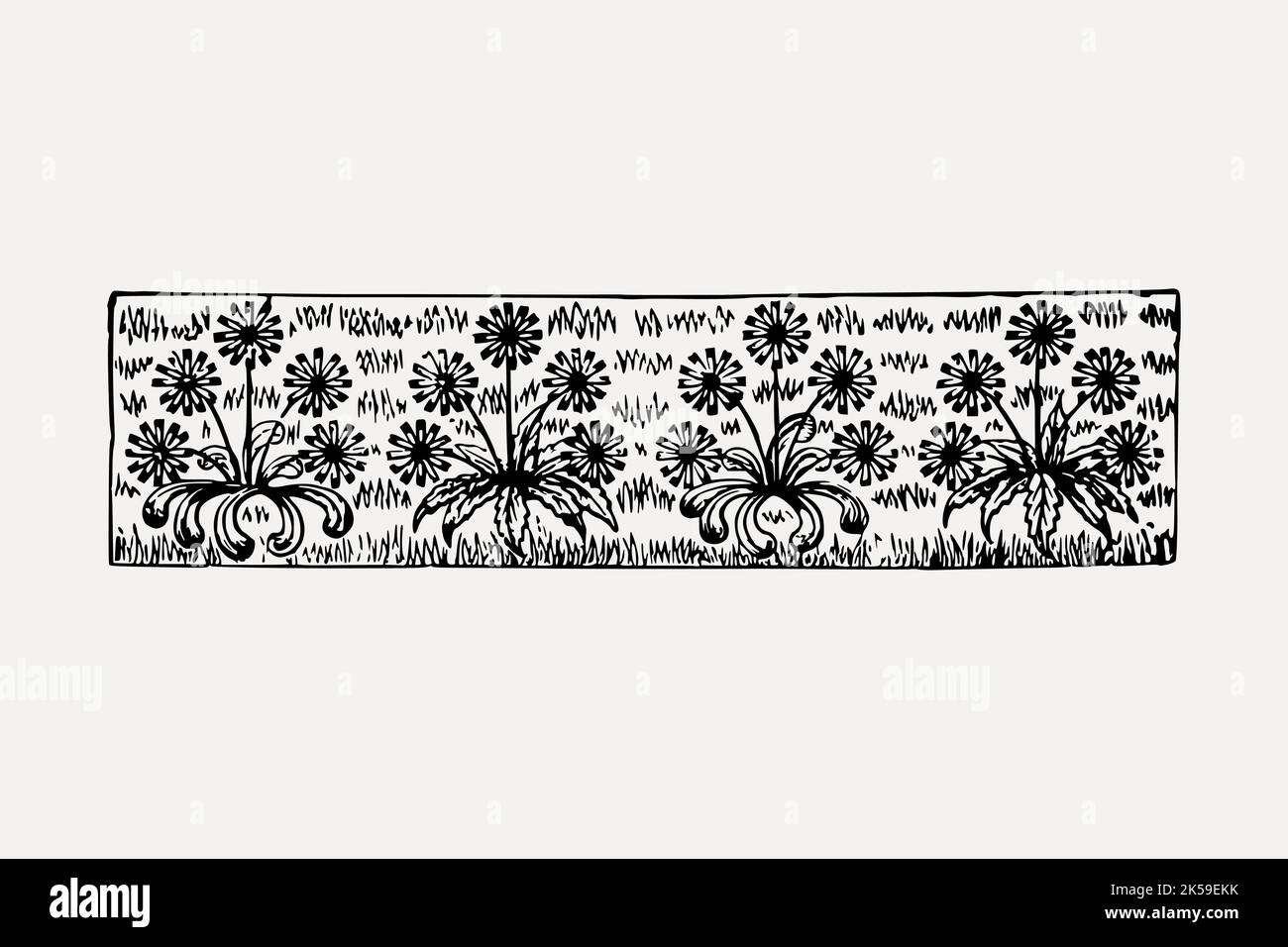 Floral divider clipart, flower illustration vector Stock Vector Image