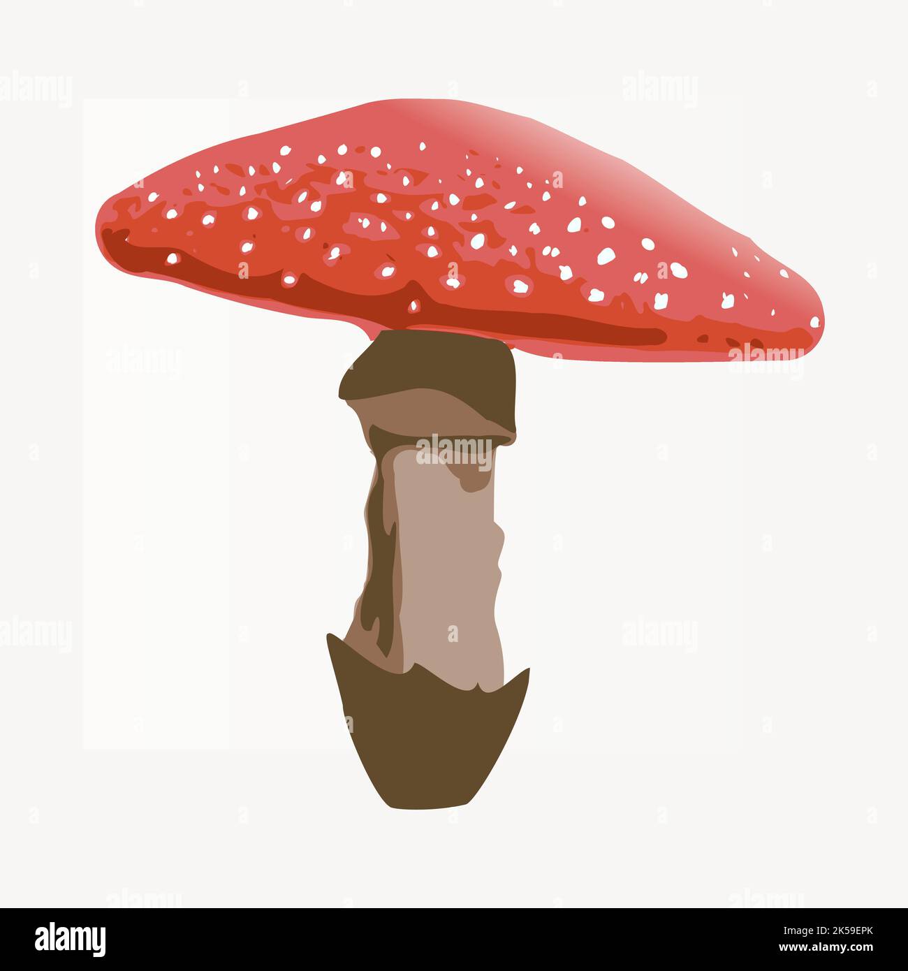 Red mushroom clipart, vegetable illustration vector Stock Vector Image