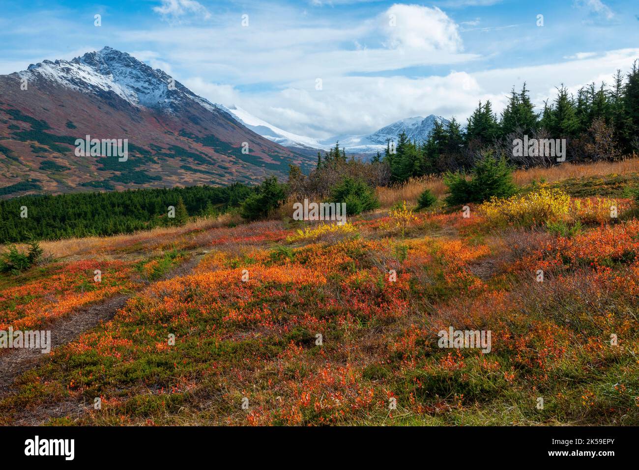 fall in Alaska Stock Photo - Alamy