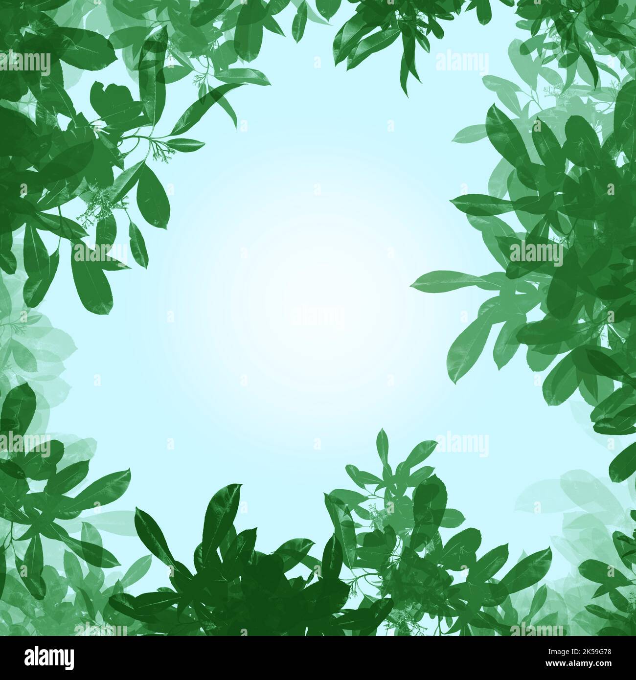 The digital leaves frame. Illustration digital painting. Design for