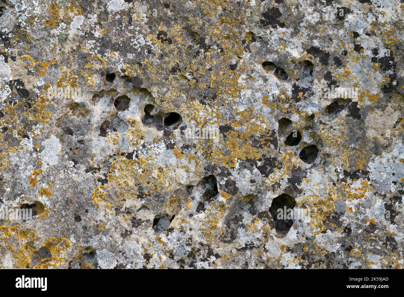Lichen on old limestone. UK Stock Photo