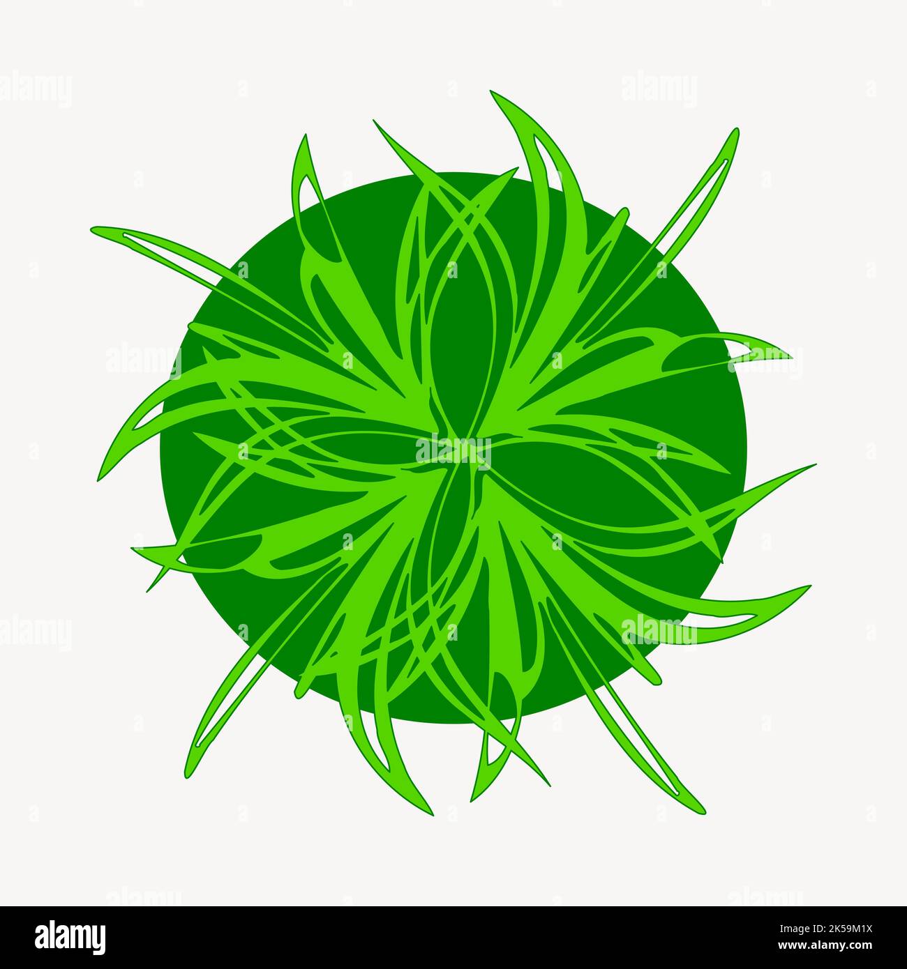 Plant top view clipart, botanical illustration vector Stock Vector