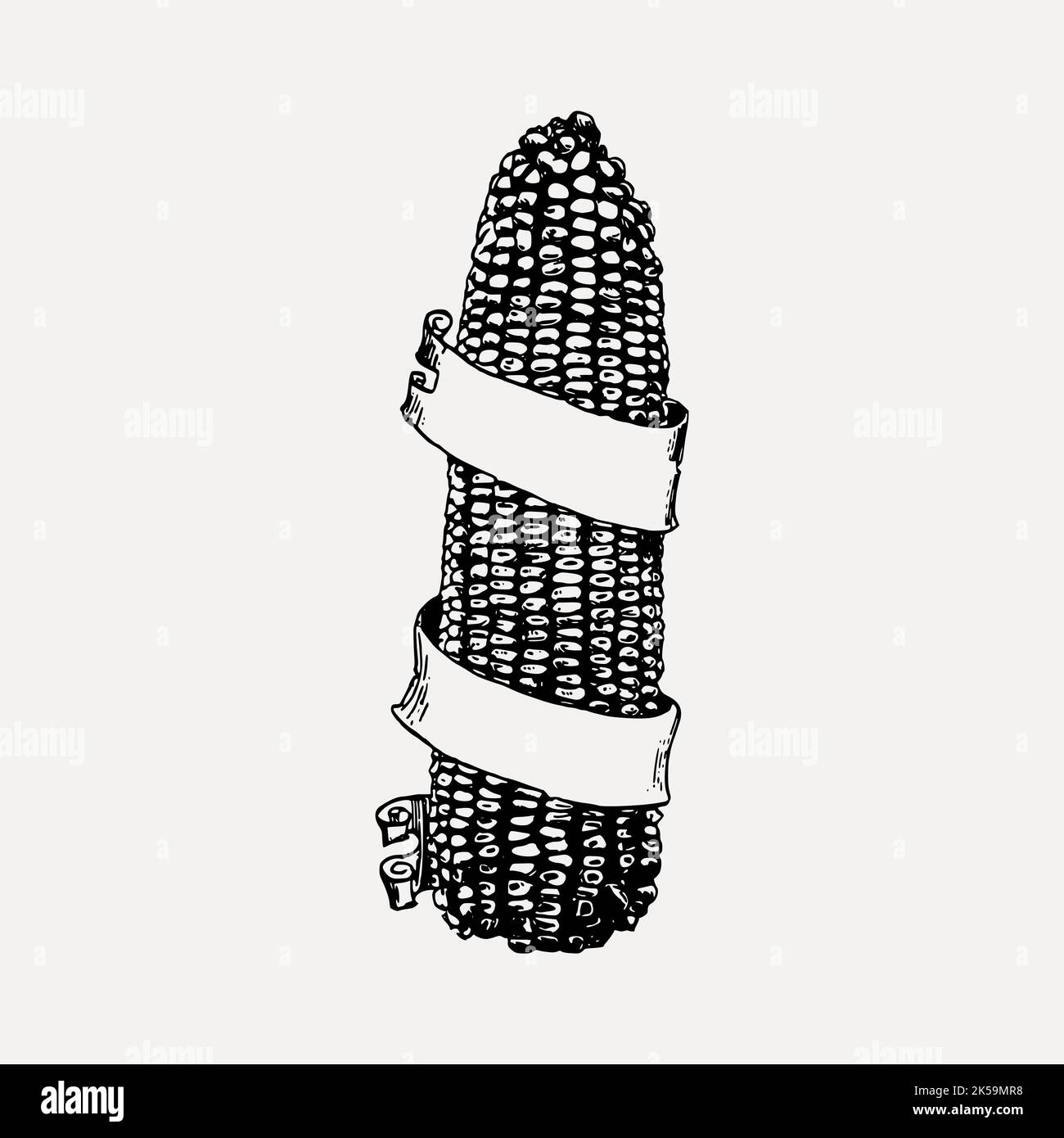 Corn drawing, vintage vegetable illustration vector Stock Vector Image