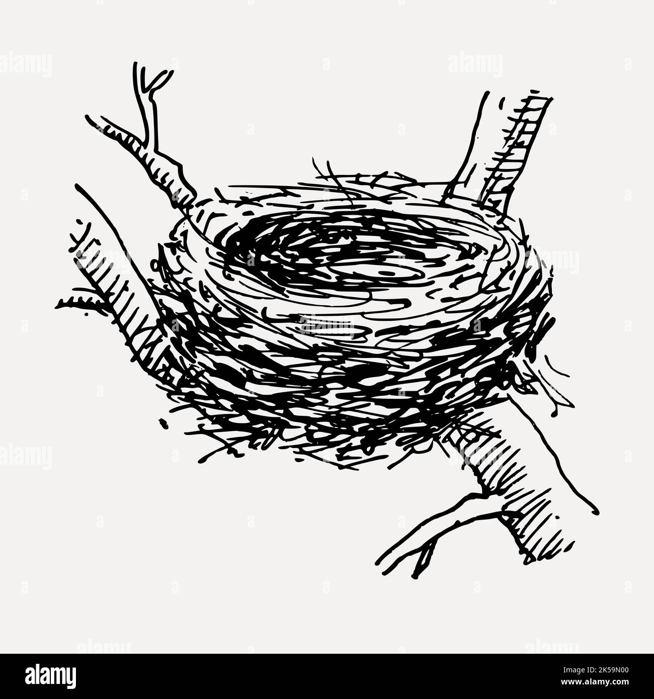 Bird's nest clipart, vintage hand drawn vector Stock Vector Image & Art