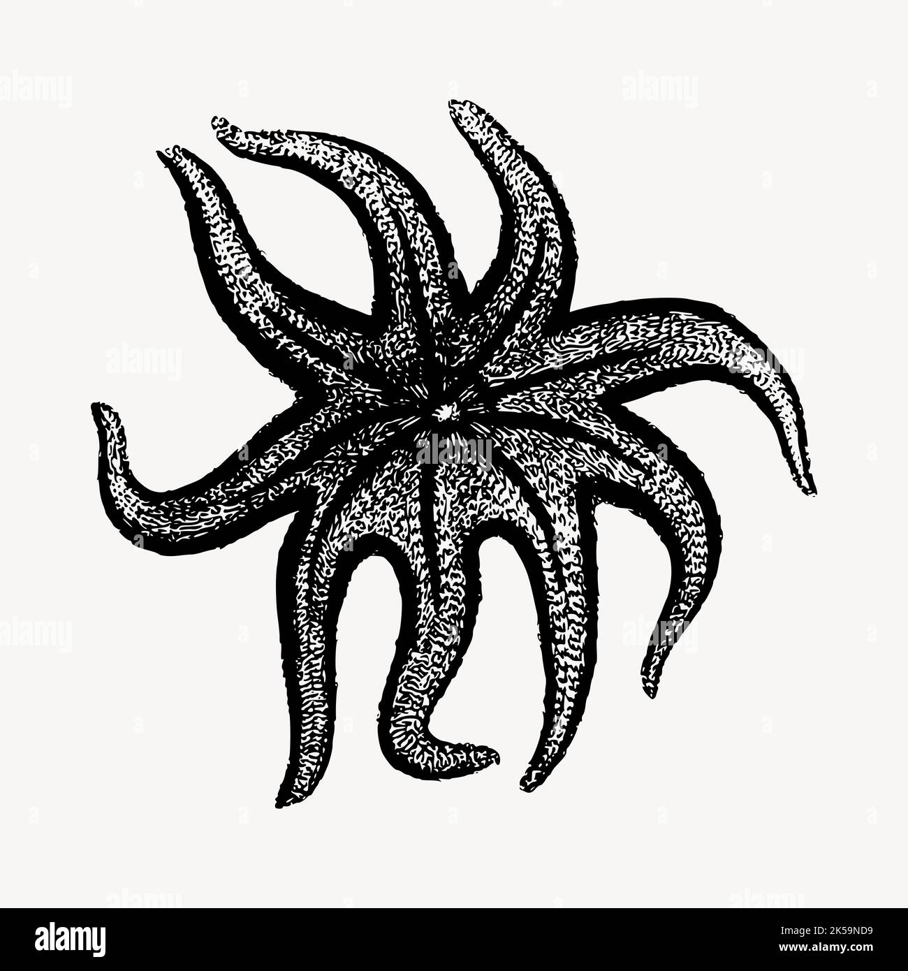 Starfish clipart Stock Vector Images - Alamy