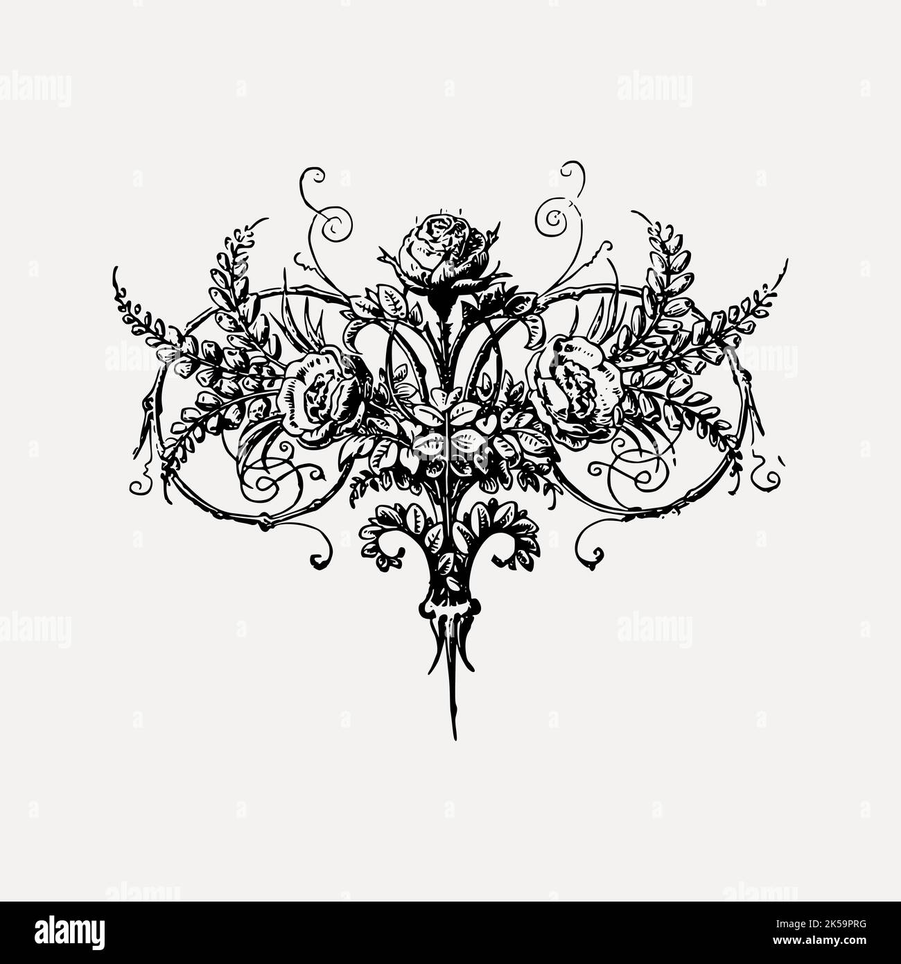 Rose ornament clipart, drawing illustration vector Stock Vector Image