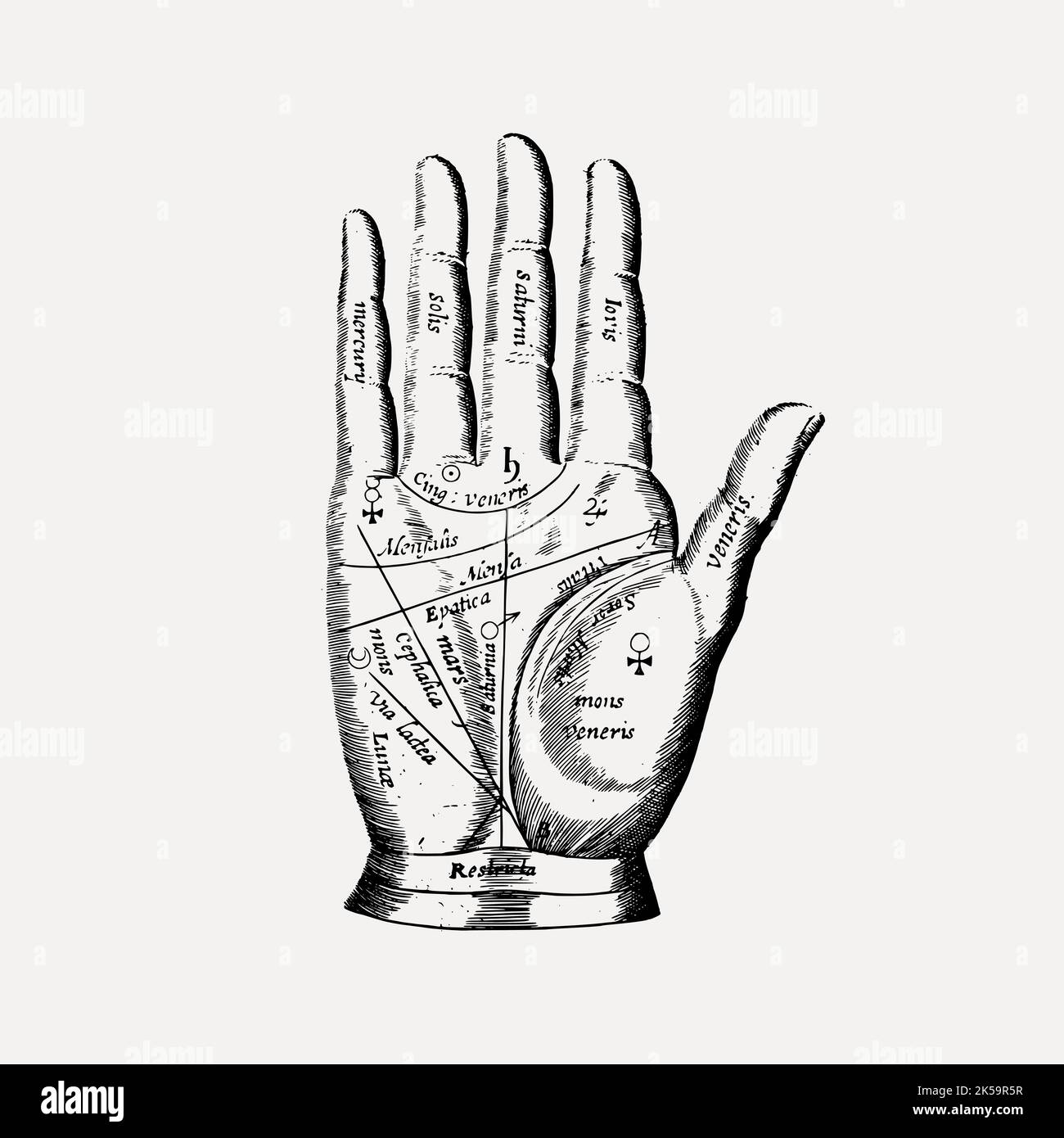 Fortune teller hand clipart, drawing illustration vector Stock Vector