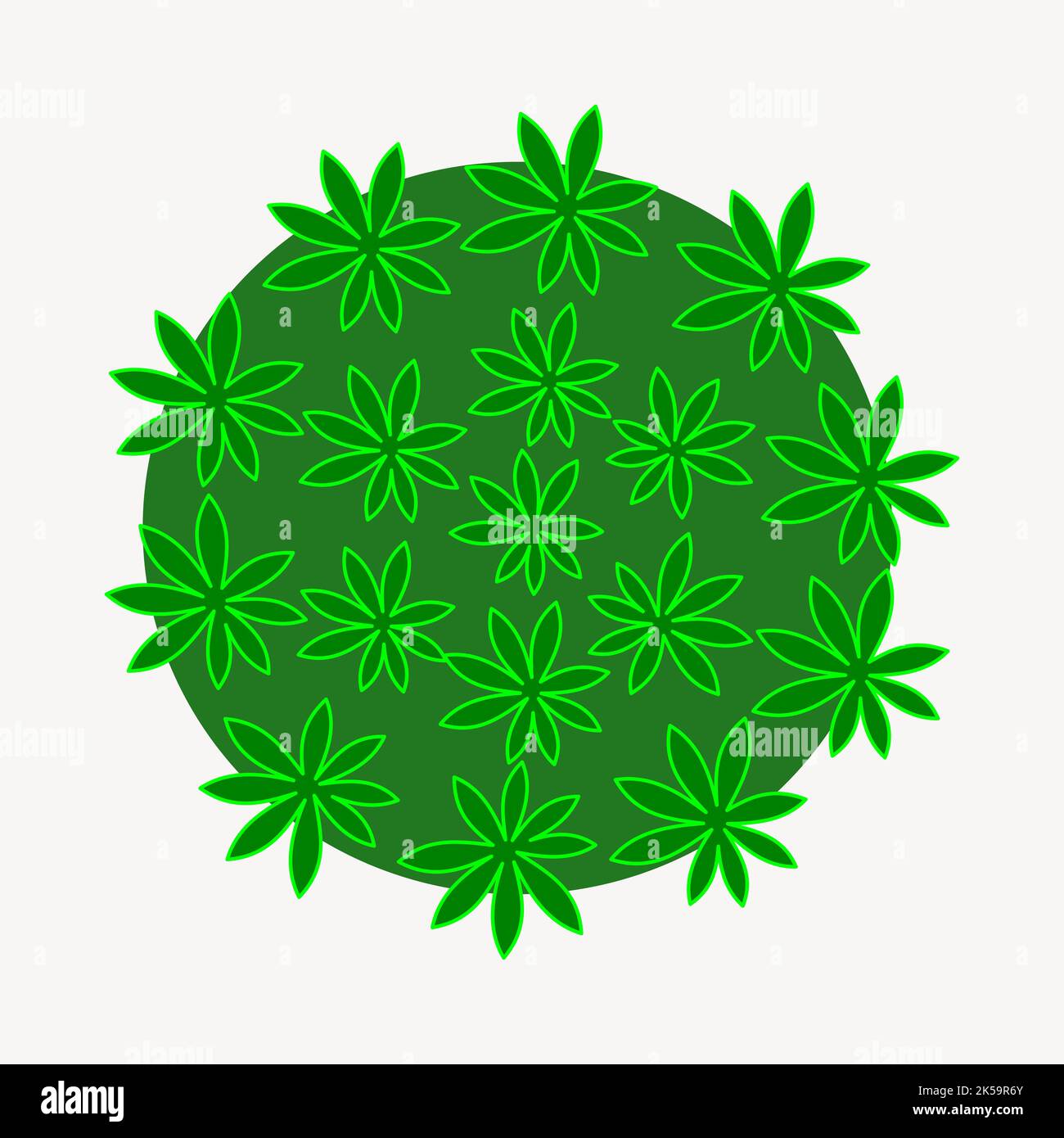 Plant top view clipart, botanical illustration vector Stock Vector