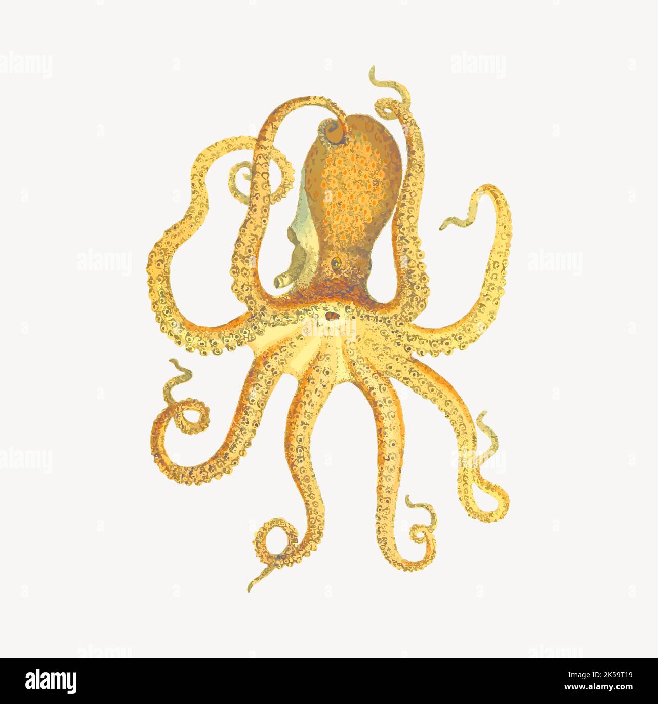 Octopus clipart, animal illustration vector Stock Vector Image & Art ...