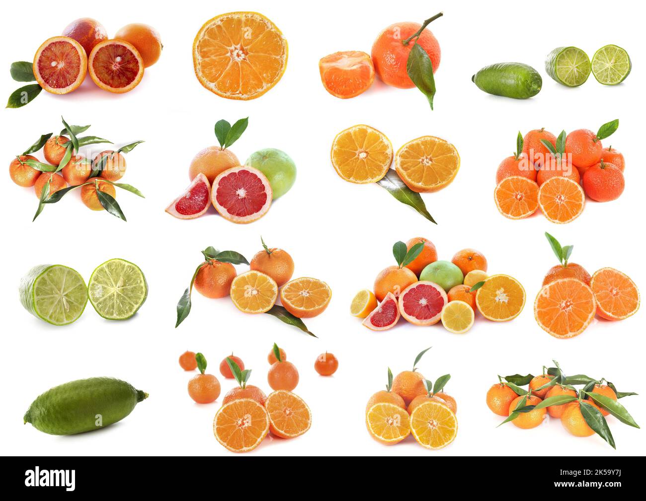 composite picture of citrus fruits in front of white background Stock