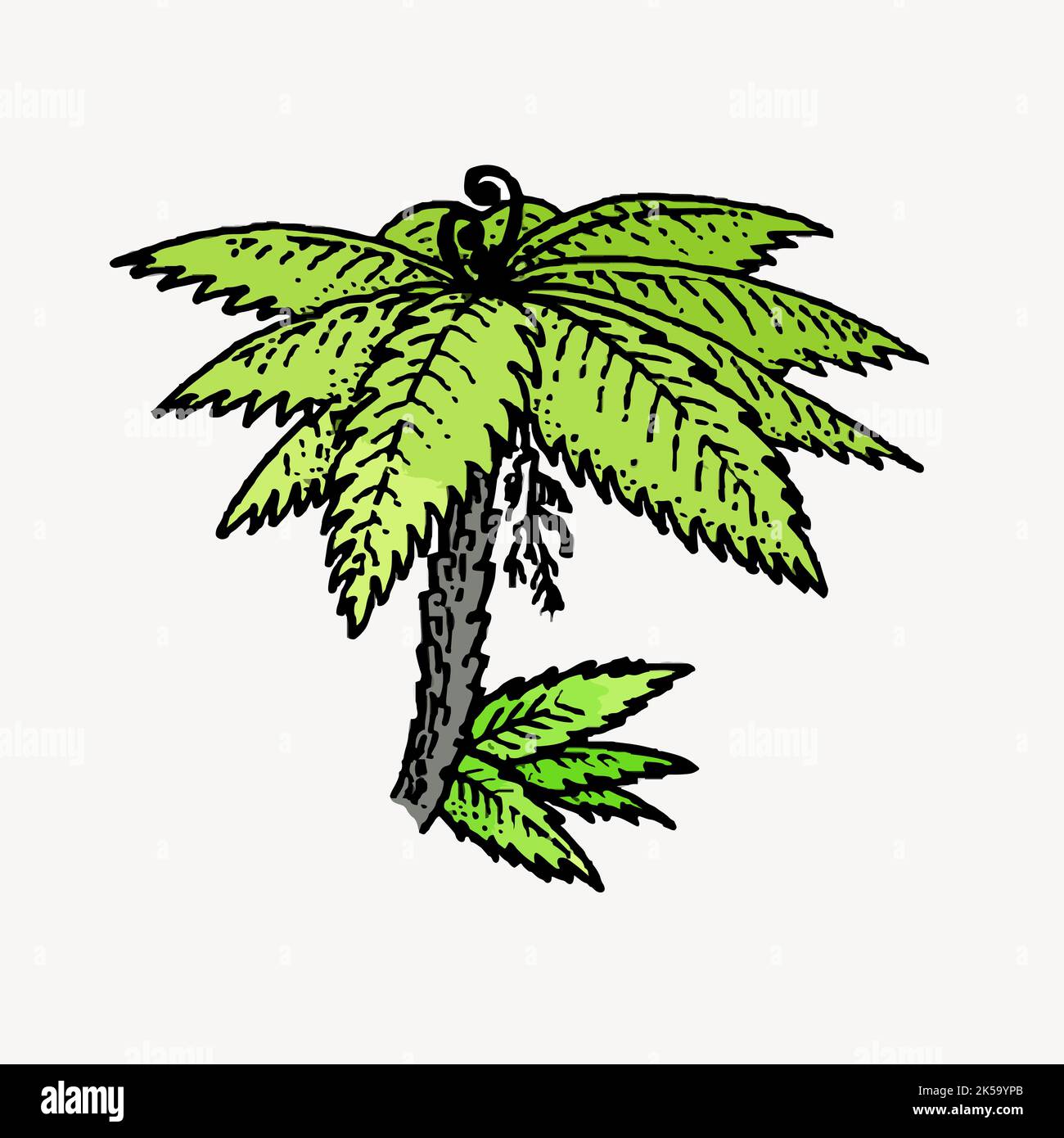 Tree fern clipart, vintage hand drawn vector. Stock Vector