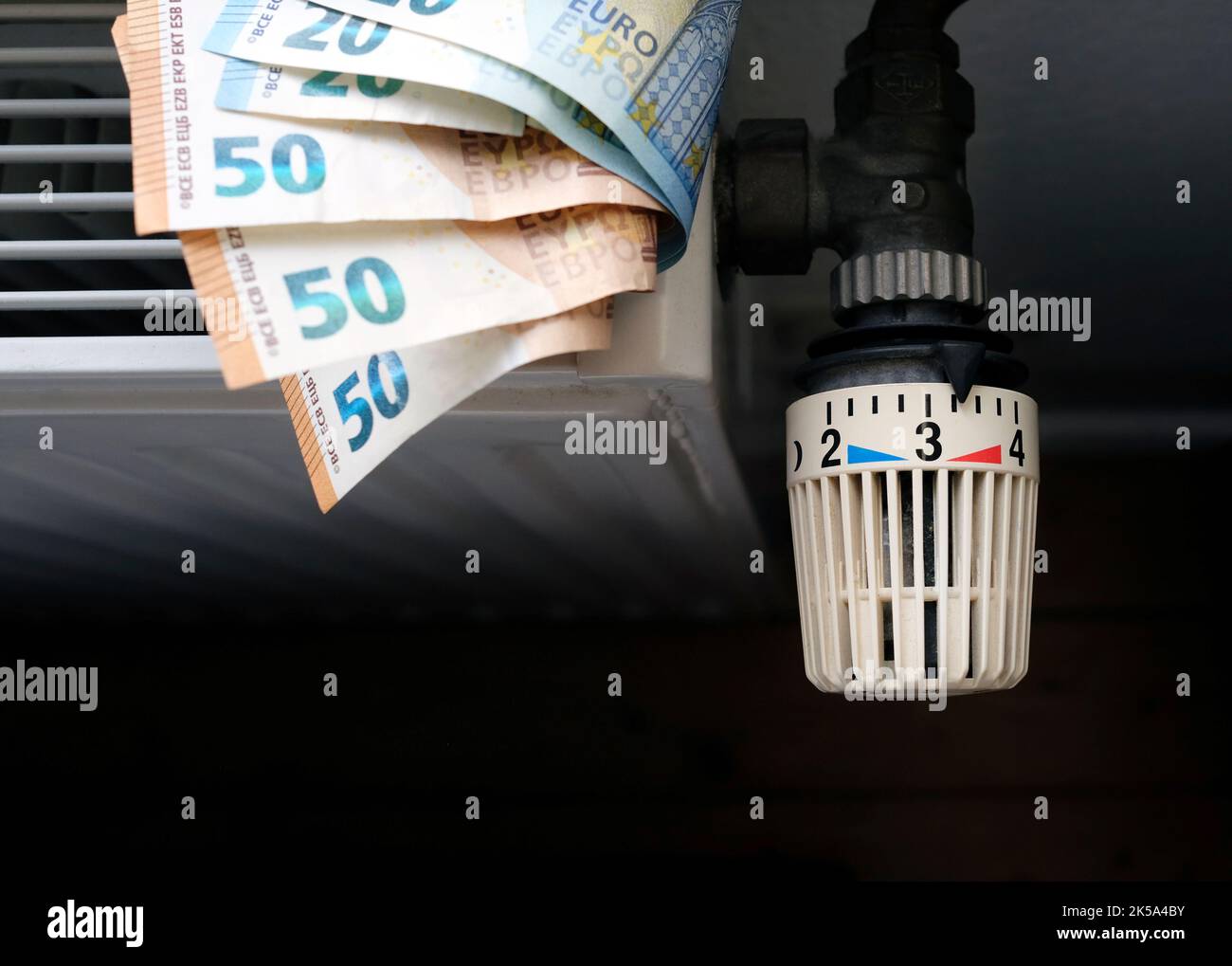 Controlling the heating costs radiator control and Euro bills on the