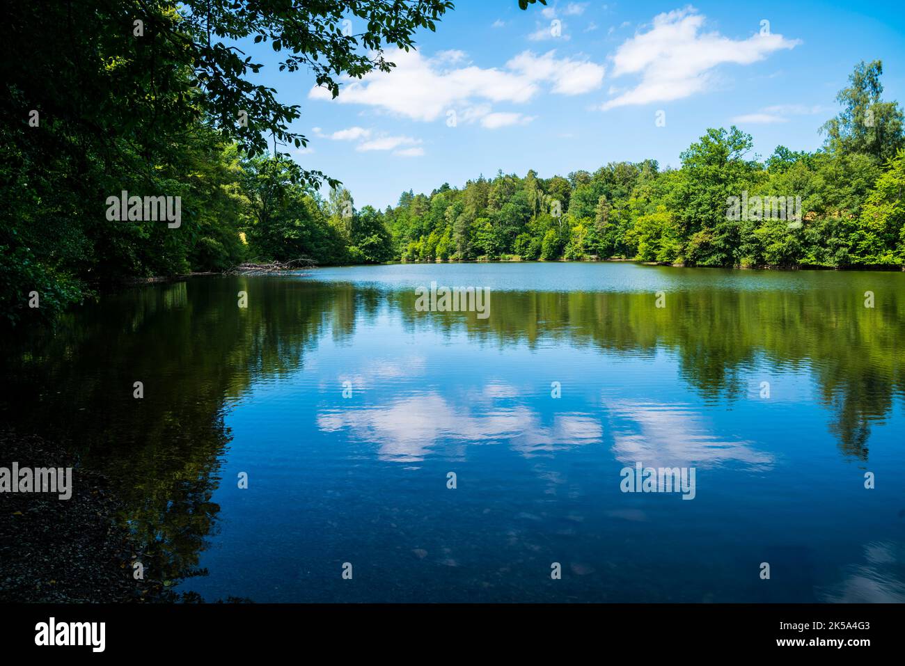 Germany, Stuttgart city park baerensee lake water reflecting green ...