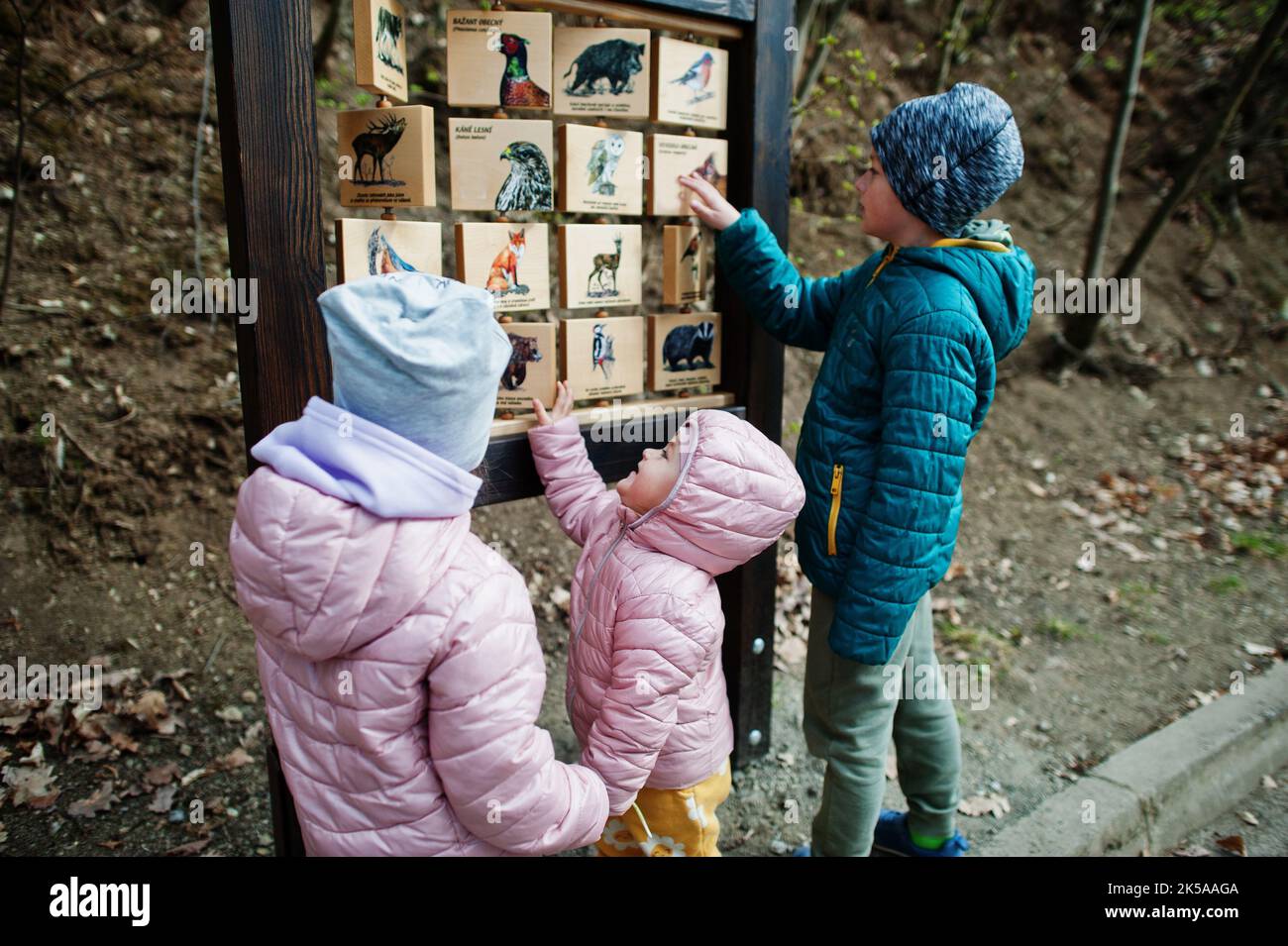 Kids learn birds in wooden desk at zoo Stock Photo Alamy