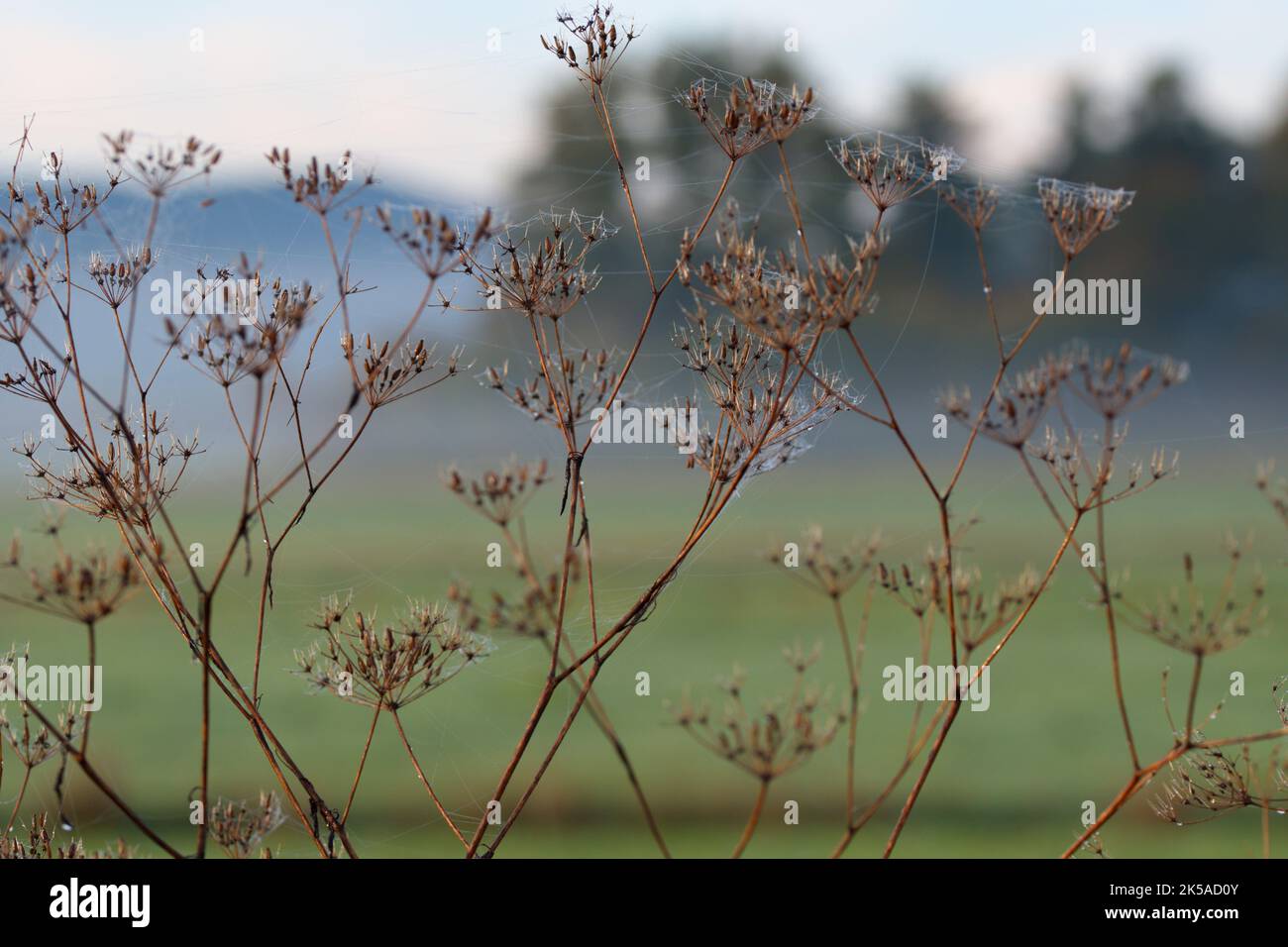 Landcape in autumn in Bavaria Stock Photo