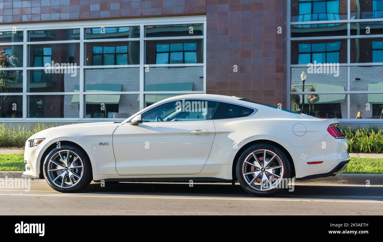 FERNDALE, MI/USA - AUGUST 20, 2016: A 2016 Ford Mustang GT at "Mustang