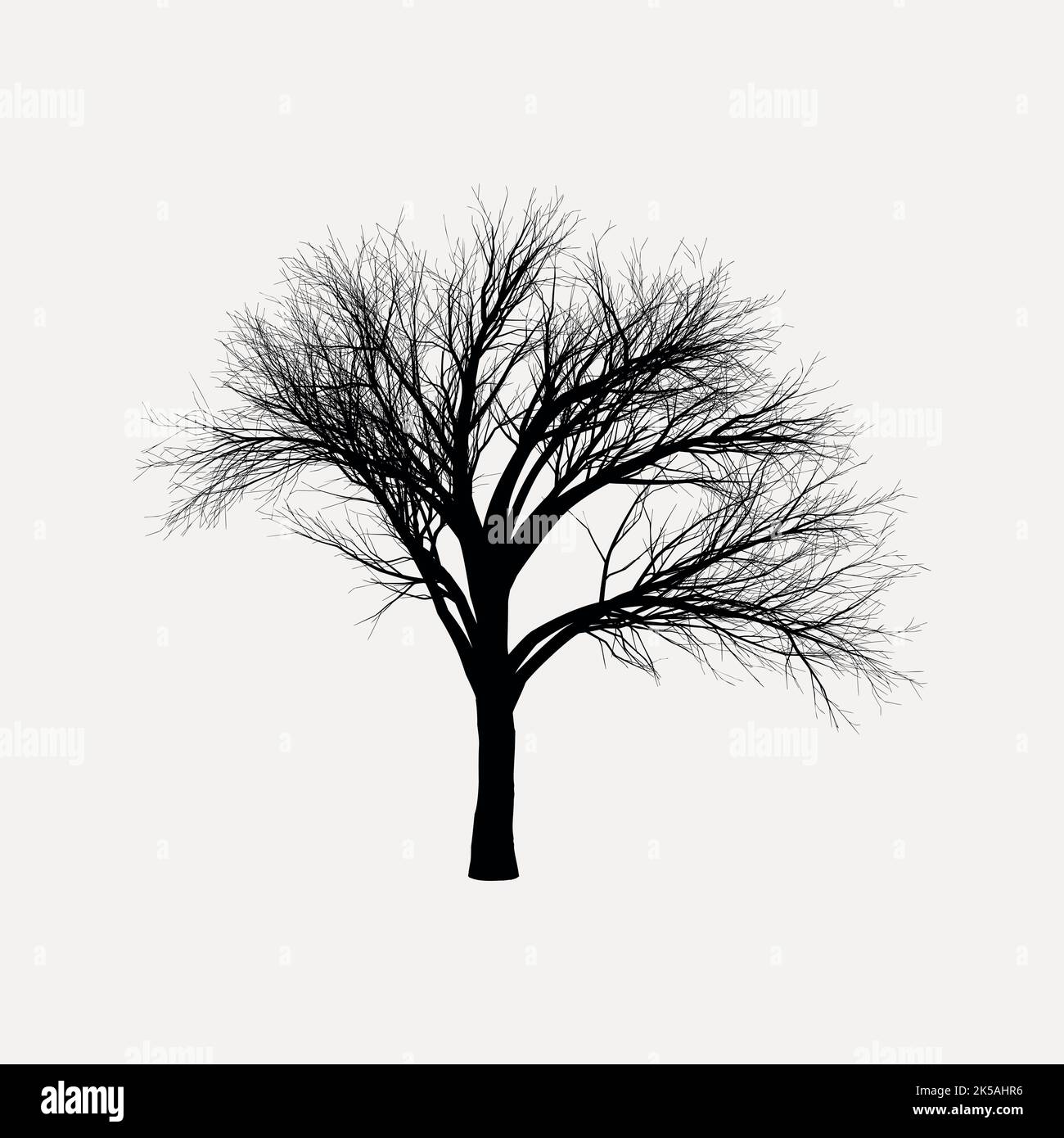 Leafless tree silhouette clipart, nature illustration vector Stock ...