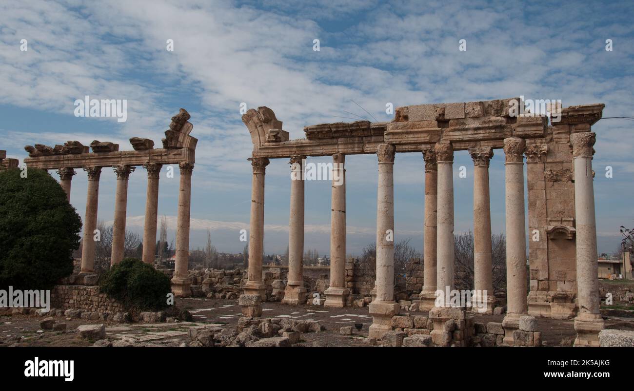 Middle Eastern Column Remaining Columns, Temple of Jupiter, Heliopolis, Roman Remains ...