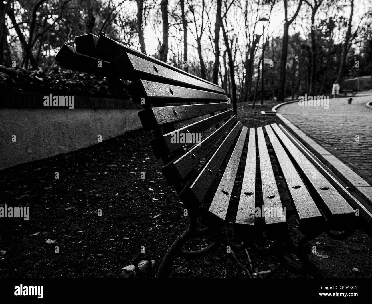 Close-up view of an empty wooden bench outdoors in a park. Stock Photo