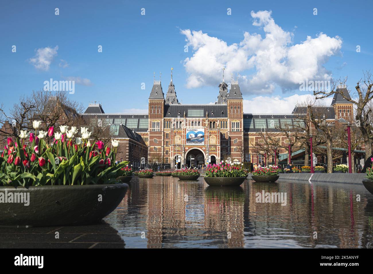 Rijksmuseum with Tulips Museum in Amsterdam Netherlands Holland Spring