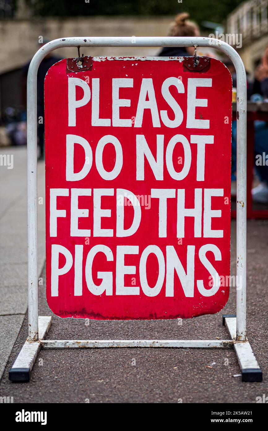 Please Do Not Feed The Pigeons sign at Norwich Market, Norwich UK Stock Photo