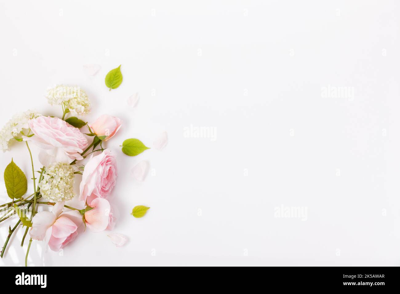 Festive flower composition on the white background. Overhead view Stock Photo