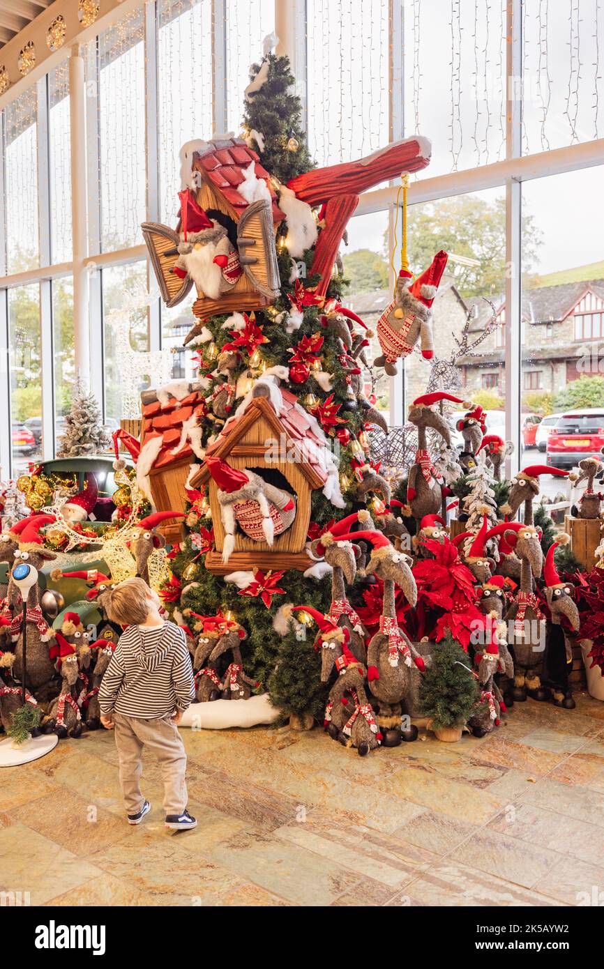 Hayes garden world christmas fair