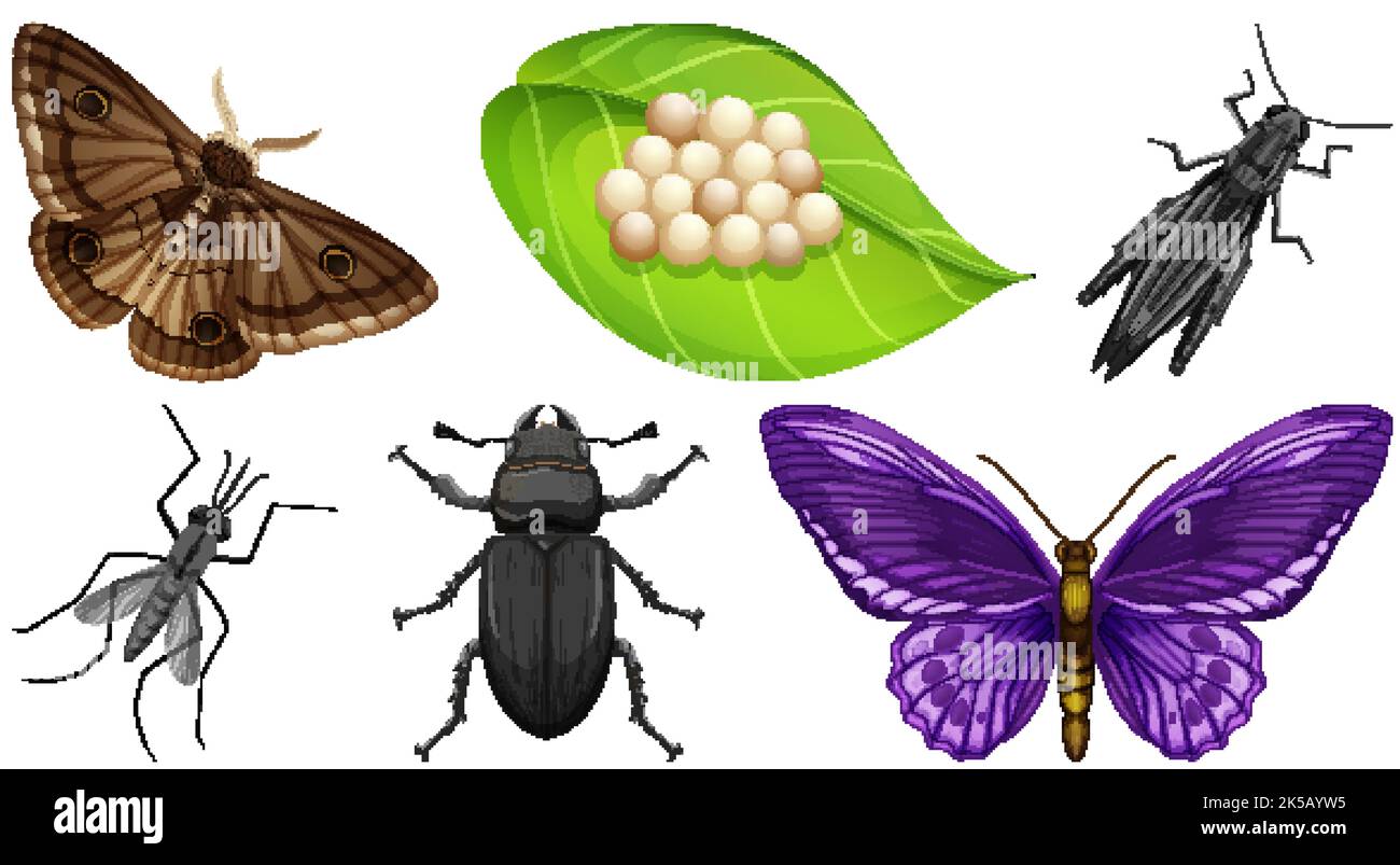 Collection of different insects vector illustration Stock Vector Image ...