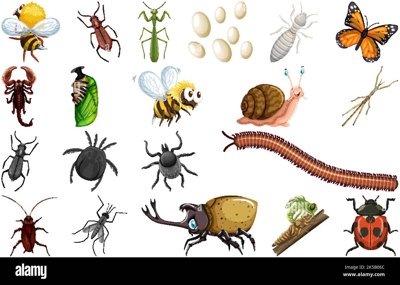 Different kinds of insects collection illustration Stock Vector Image ...